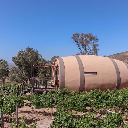 Finca El Mirador バジェ・デ・グアダルーペ エクステリア 写真