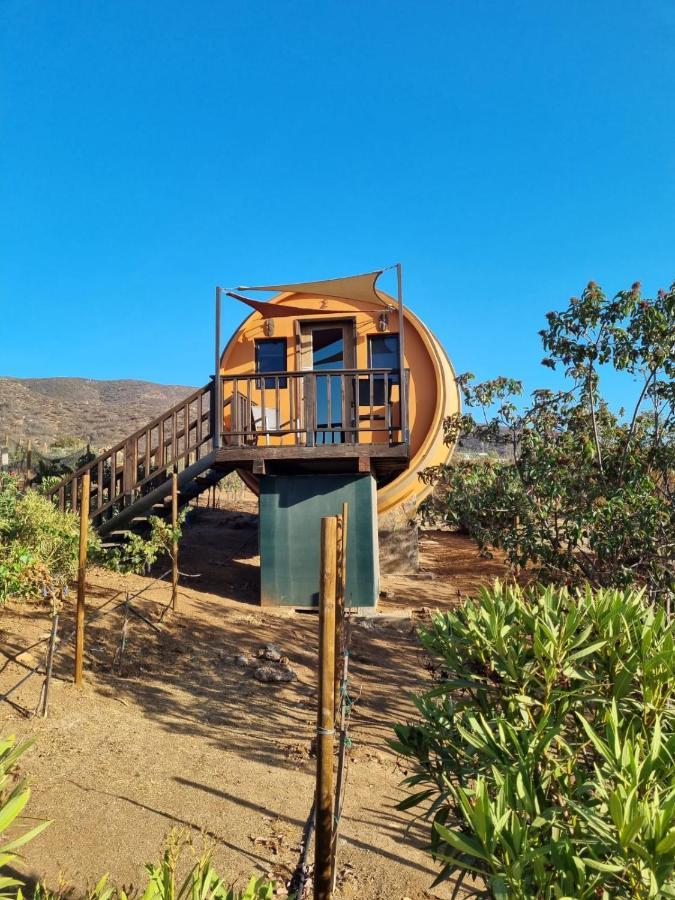 Finca El Mirador バジェ・デ・グアダルーペ エクステリア 写真