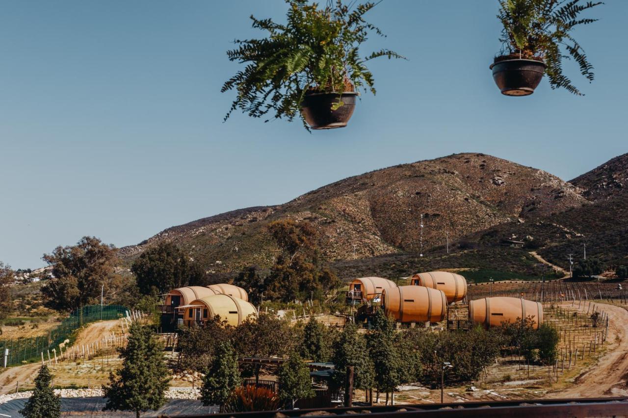 Finca El Mirador バジェ・デ・グアダルーペ エクステリア 写真