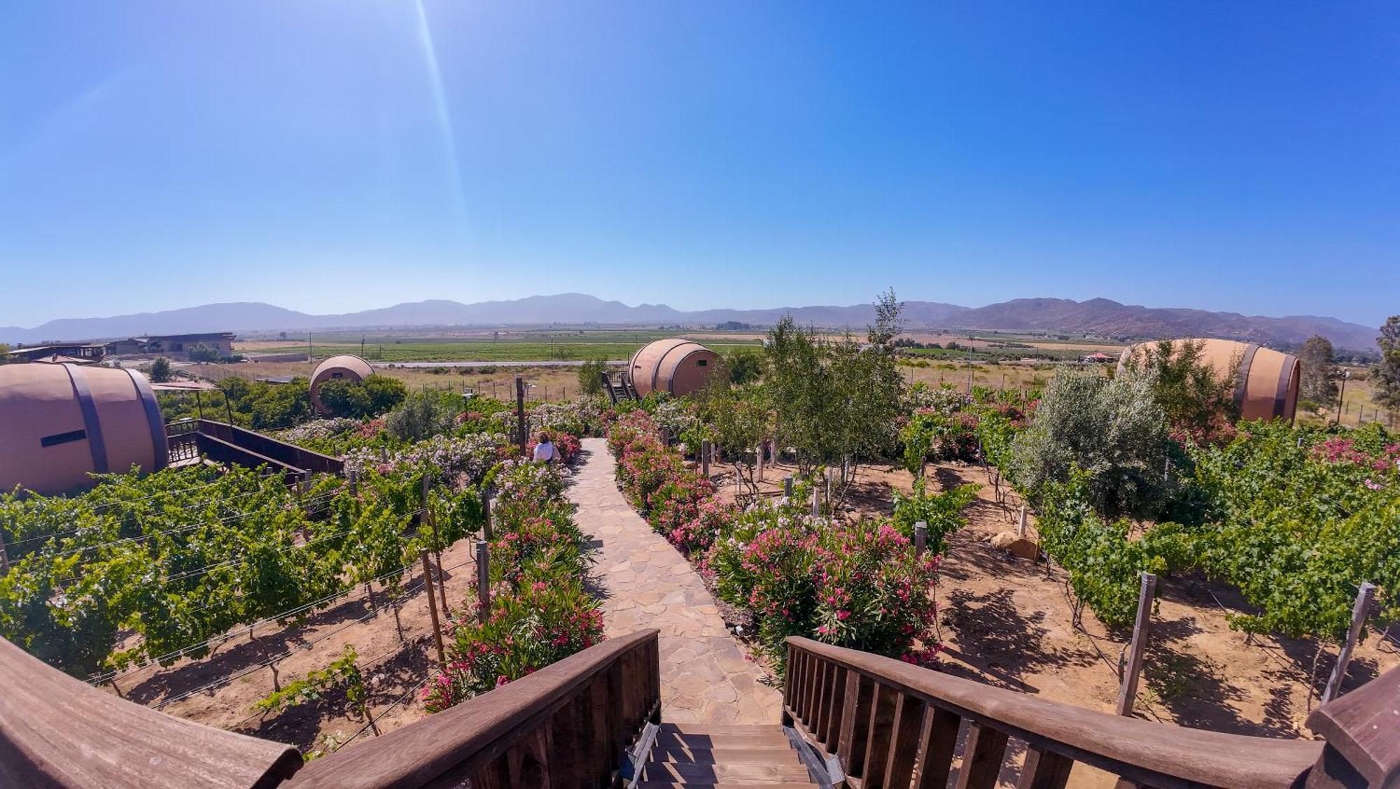 Finca El Mirador バジェ・デ・グアダルーペ エクステリア 写真